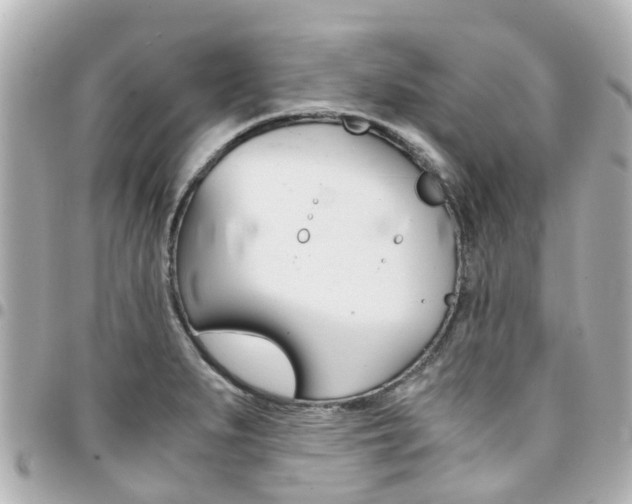 X0000094451279200711081039
