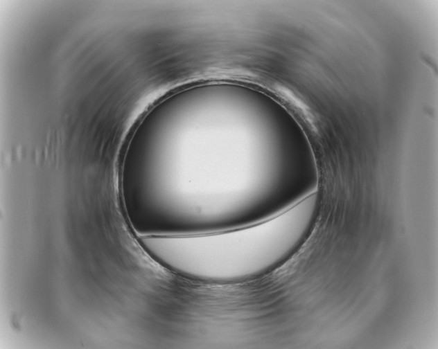 X0000094451280200711081039
