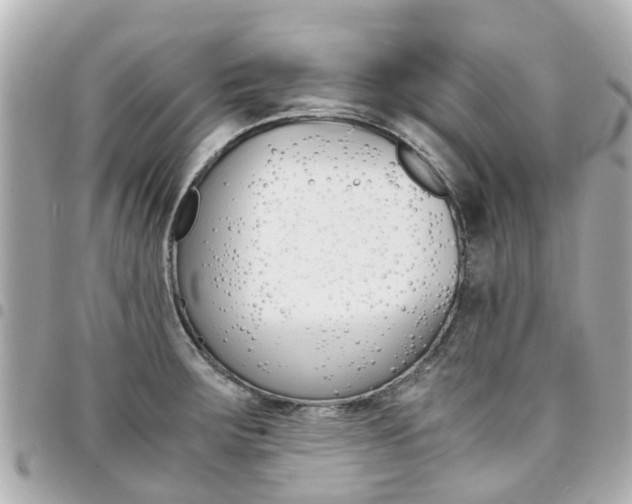 X0000094451283200711081039