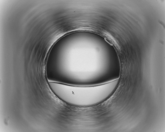 X0000094451284200711081039