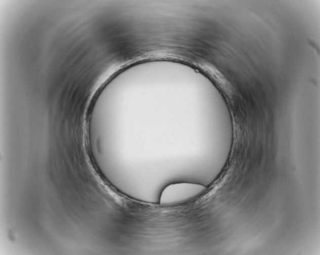 X0000094451286200711081039