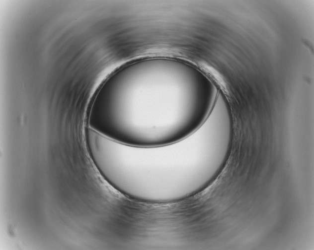 X0000094451288200711081039