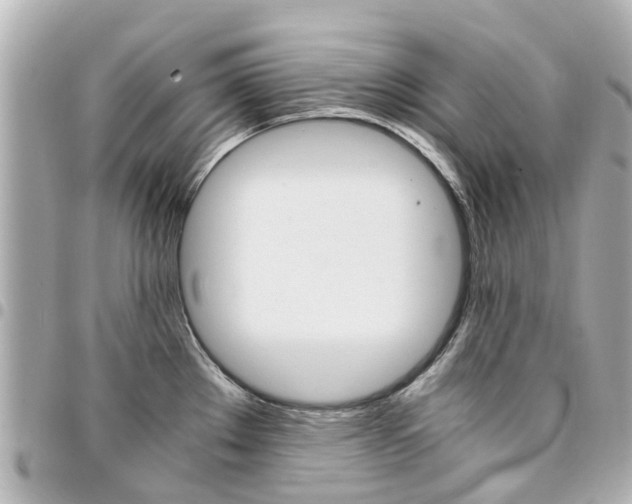 X0000094451289200711081039