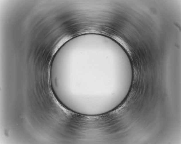 X0000094451290200711081039