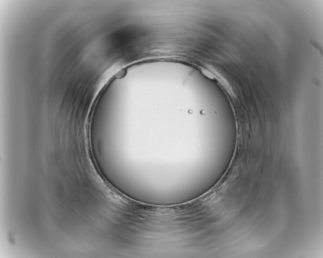 X0000094451291200711081039