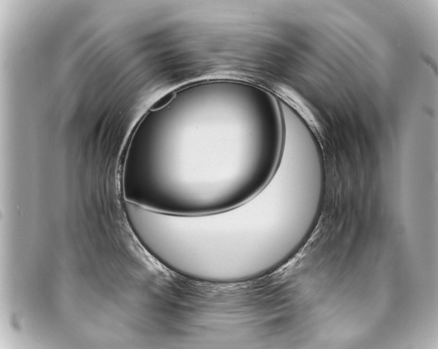 X0000094451292200711081039