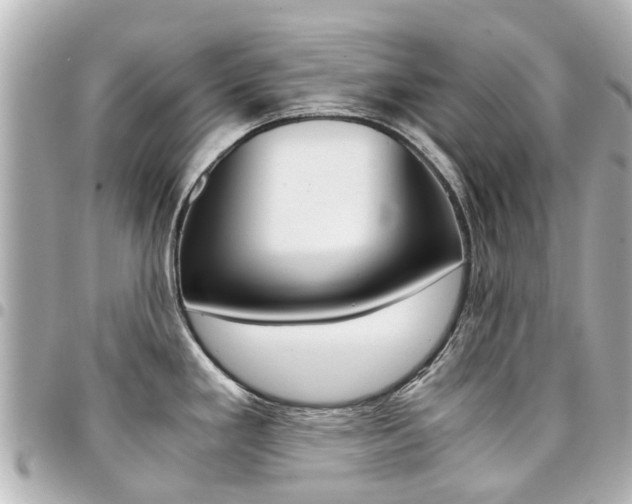 X0000094451293200711081039