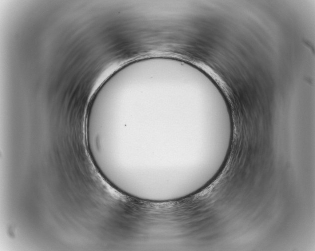 X0000094451294200711081039