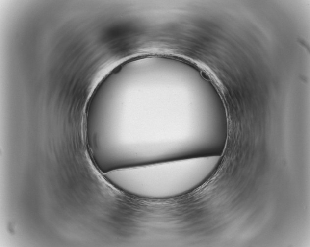 X0000094451295200711081039