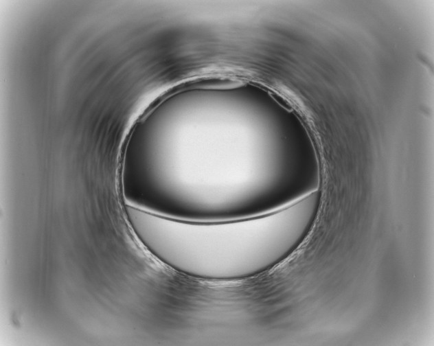 X0000094451296200711081039