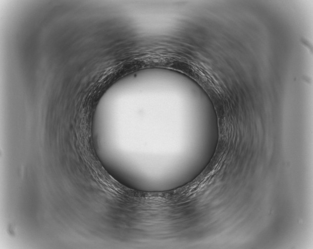 X0000094451297200711081038