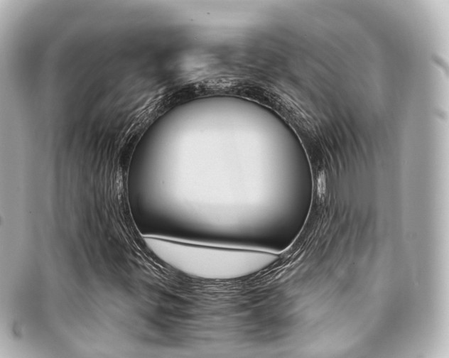 X0000094451299200711081038