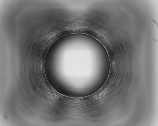 X0000094451300200711081038
