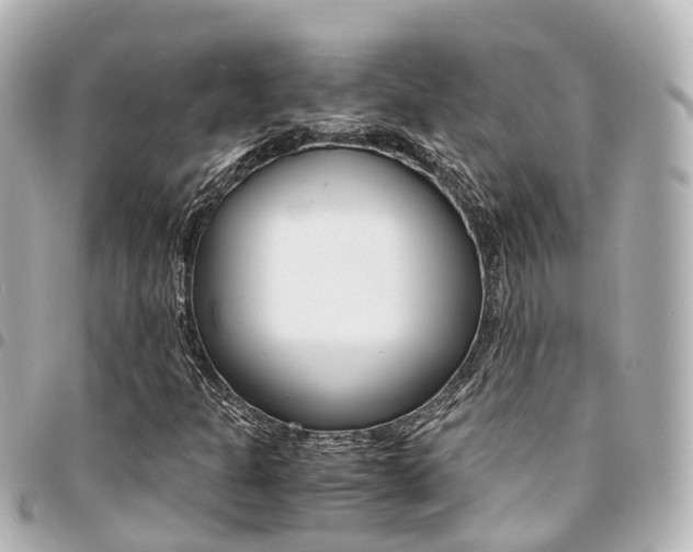 X0000094451301200711081038