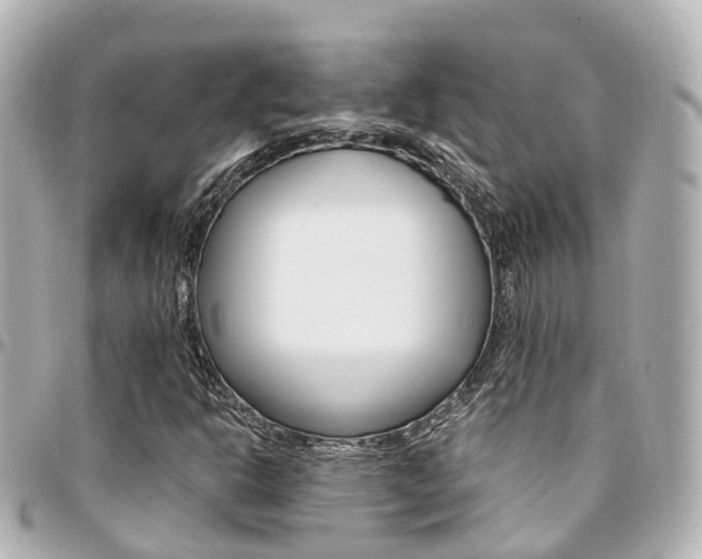 X0000094451302200711081038