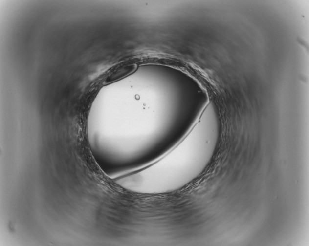 X0000094451303200711081038