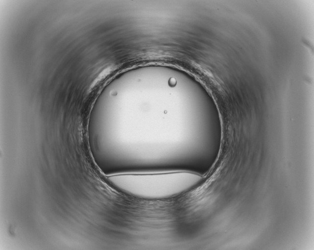 X0000094451306200711081038