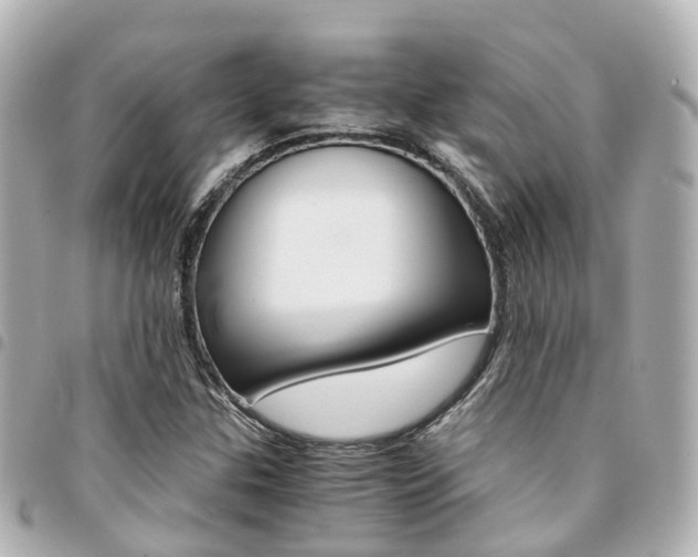X0000094451307200711081038