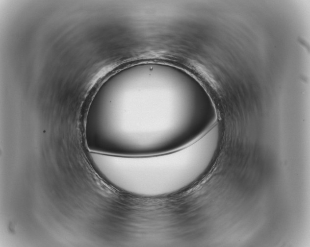 X0000094451308200711081038