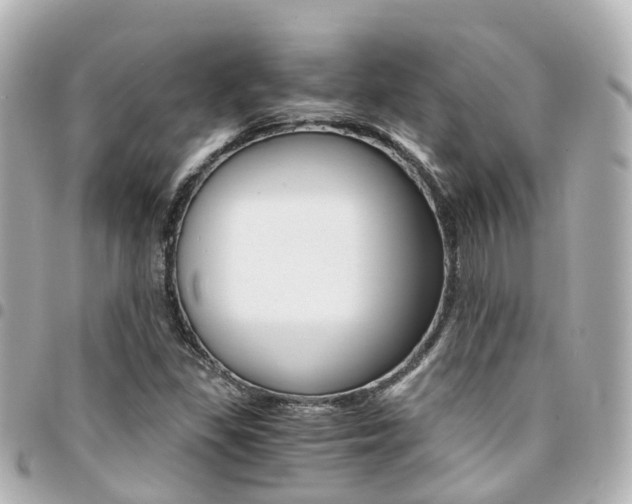 X0000094451309200711081038