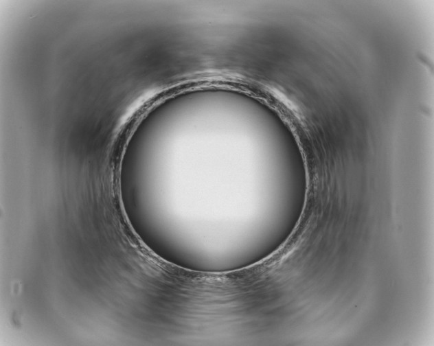 X0000094451310200711081038
