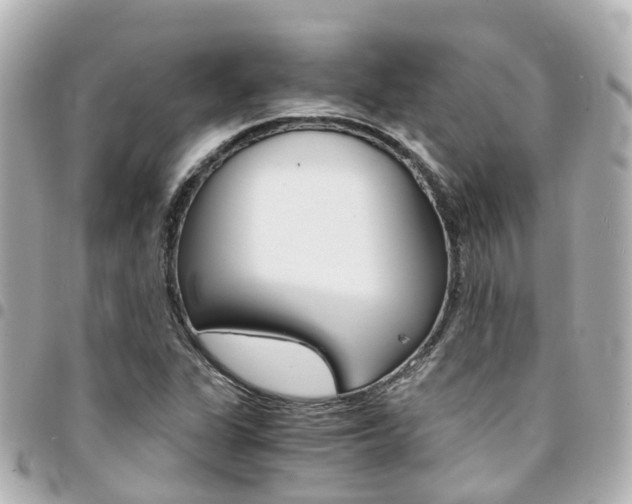 X0000094451311200711081038