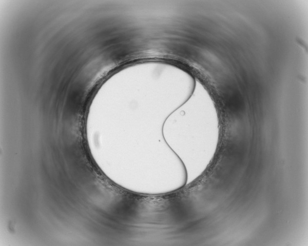X0000094451314200711081038