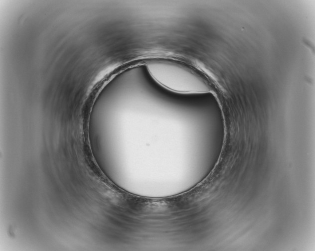 X0000094451315200711081038