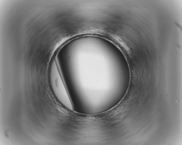 X0000094451316200711081038