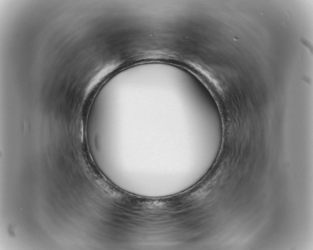 X0000094451317200711081038