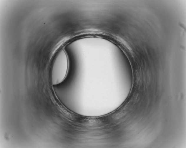 X0000094451318200711081038