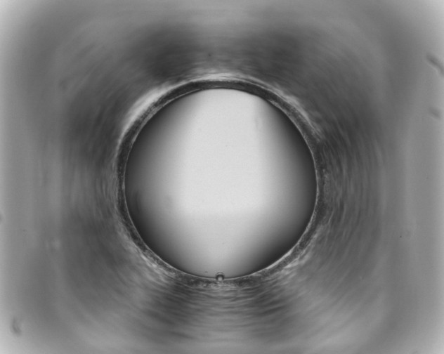 X0000094451319200711081038