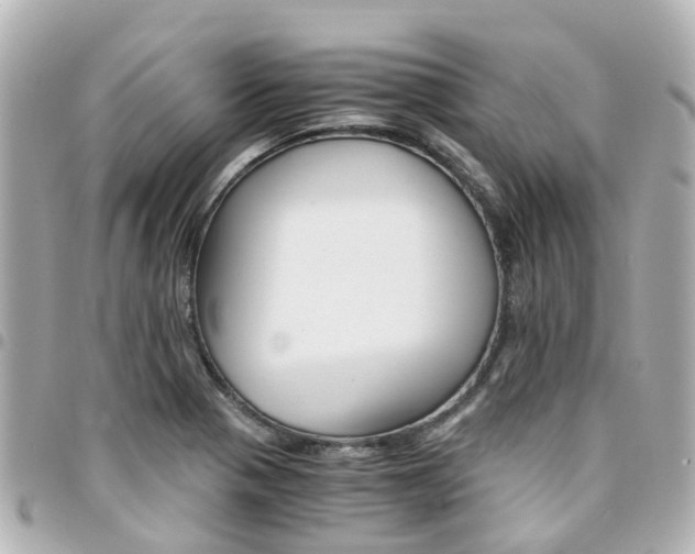 X0000094451321200711081039