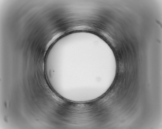 X0000094451322200711081039