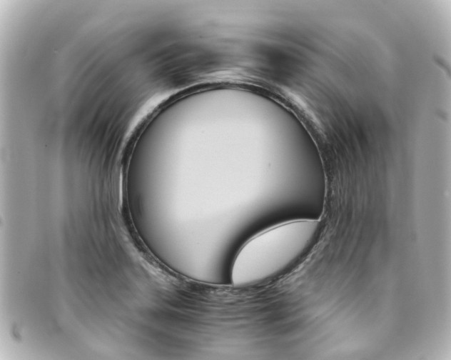 X0000094451323200711081039