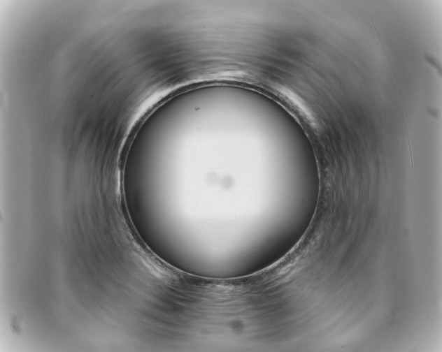 X0000094451324200711081039