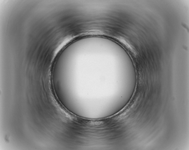 X0000094451325200711081039