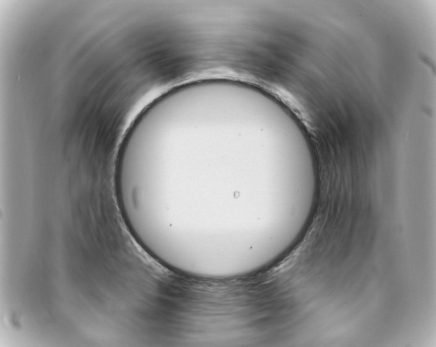 X0000094451326200711081039
