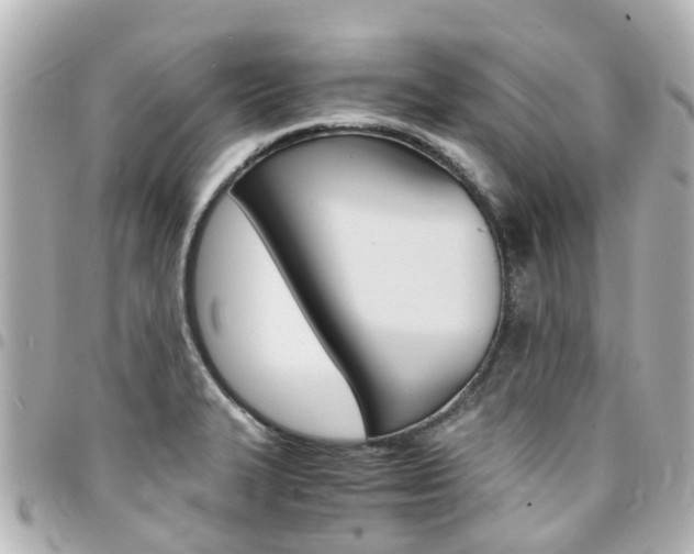 X0000094451327200711081039