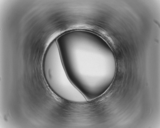 X0000094451328200711081039