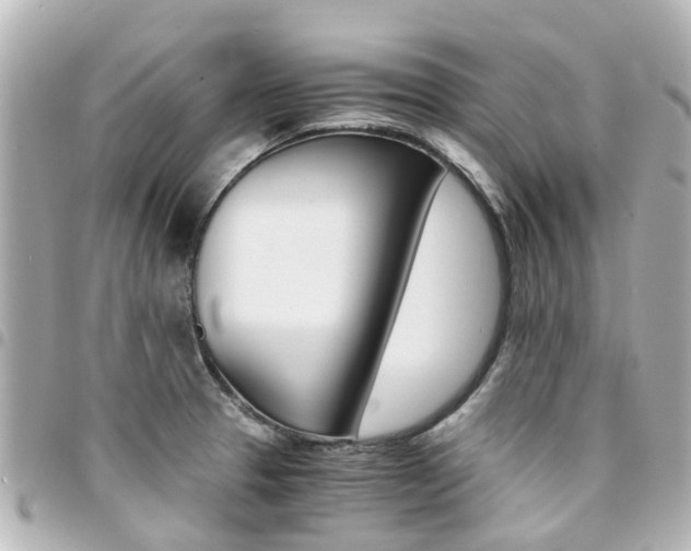 X0000094451329200711081039