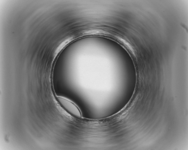 X0000094451330200711081039