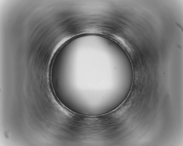 X0000094451331200711081039