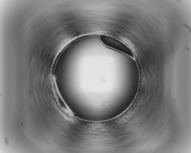 X0000094451332200711081039