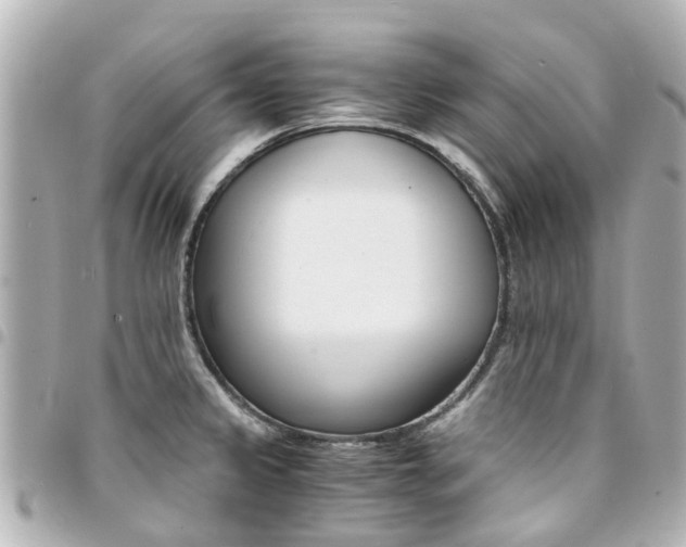 X0000094451333200711081039