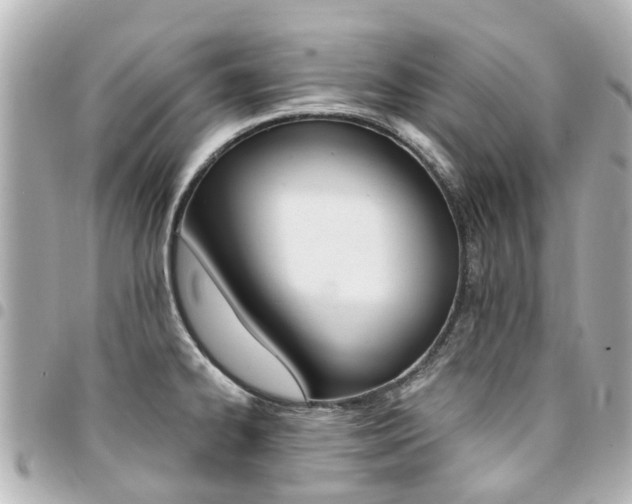 X0000094451334200711081039