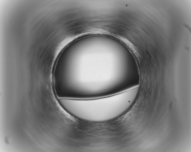 X0000094451335200711081039