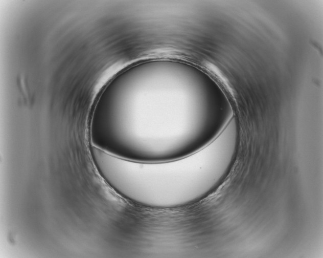 X0000094451336200711081039