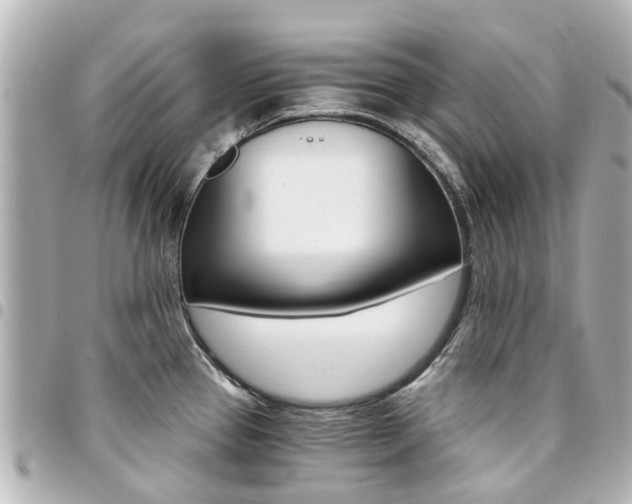 X0000094451337200711081039