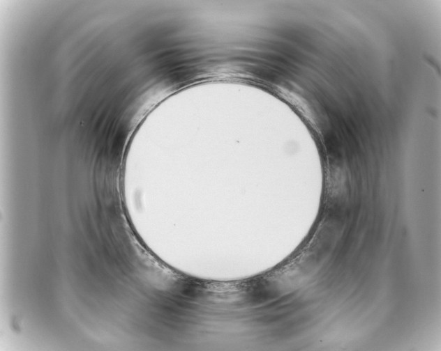 X0000094451338200711081039